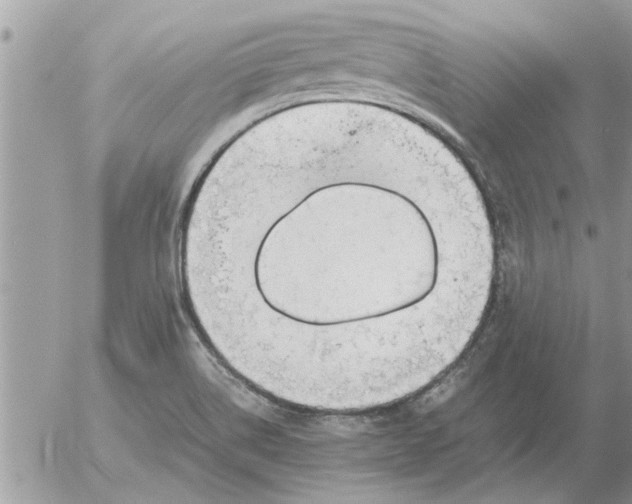 X0000052601514200507292110