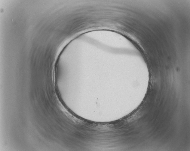 X0000052601516200507292110