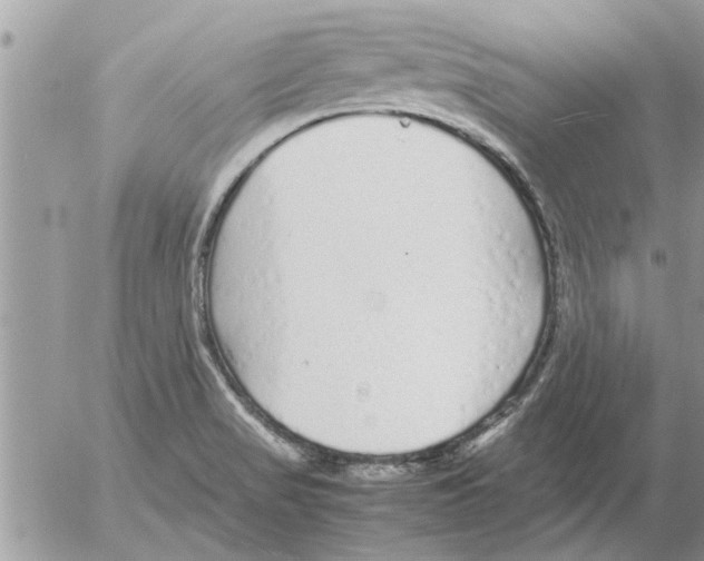 X0000052601517200507292110