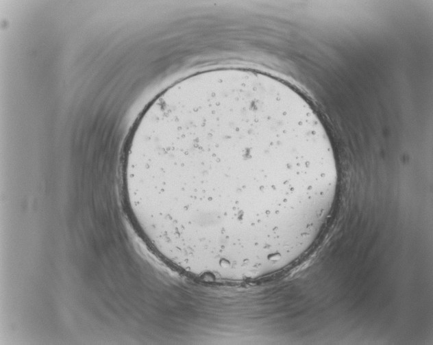 X0000052601518200507292110