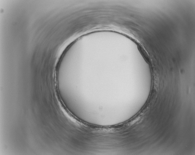 X0000052601519200507292110