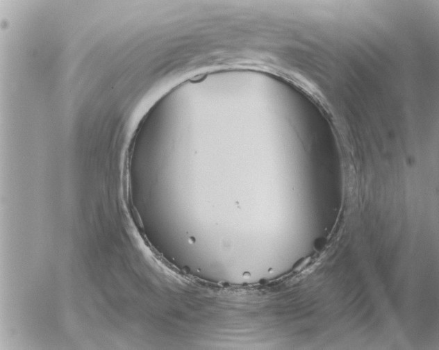 X0000052601520200507292110