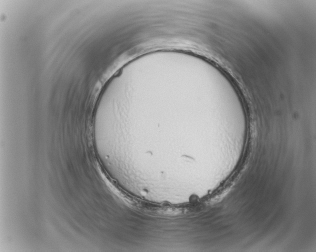 X0000052601521200507292110