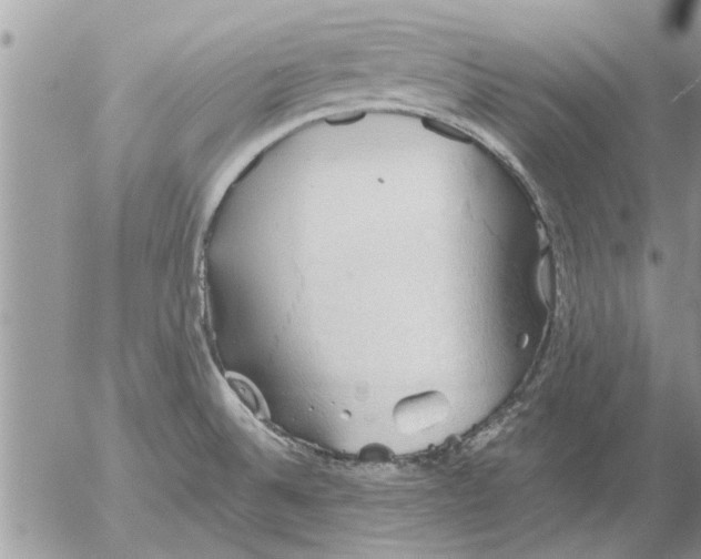 X0000052601524200507292110