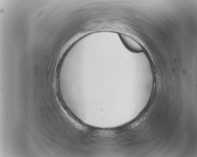 X0000052601525200507292110