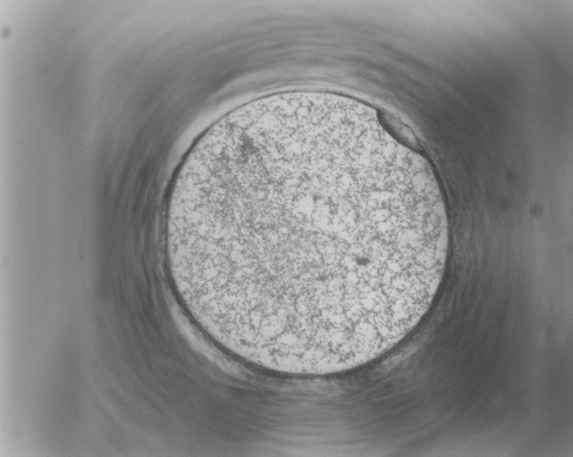 X0000052601526200507292110