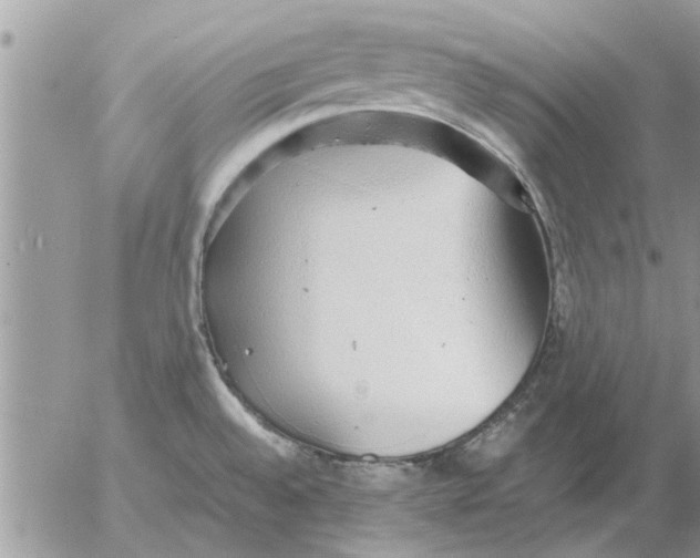 X0000052601528200507292110