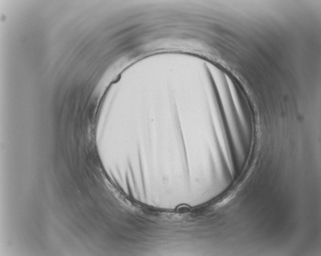 X0000052601529200507292110