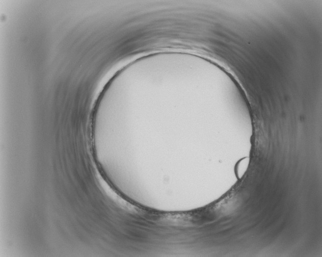 X0000052601531200507292110