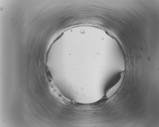 X0000052601532200507292110