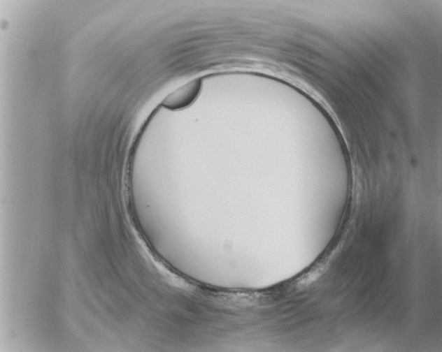 X0000052601533200507292110