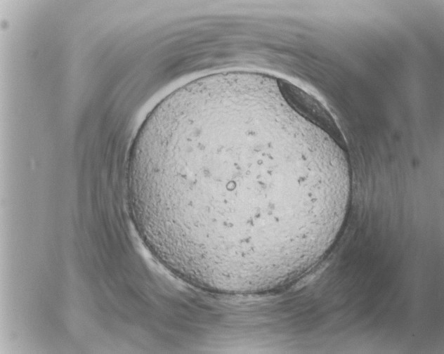 X0000052601534200507292110