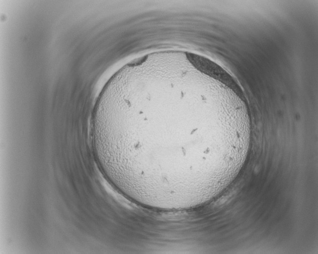 X0000052601535200507292110