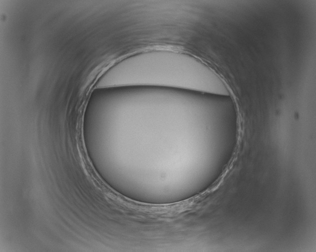 X0000052610001200507010950