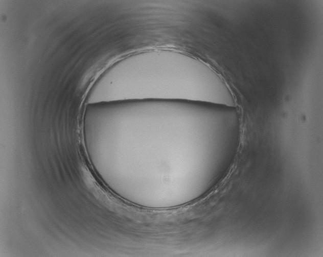 X0000052610002200507010950