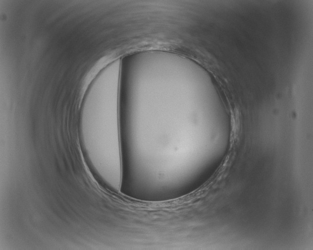 X0000052610003200507010950