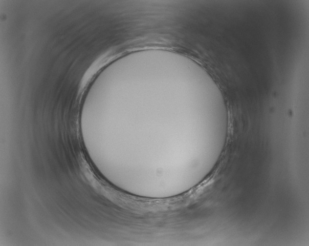 X0000052610004200507010950