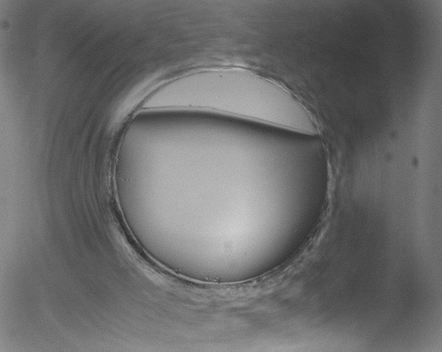 X0000052610005200507010950