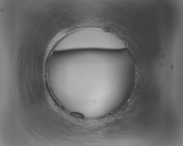 X0000052610006200507010950