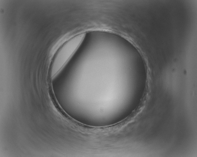 X0000052610007200507010950