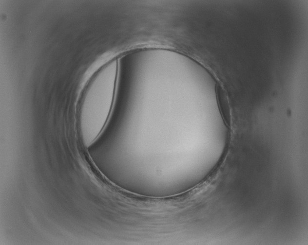 X0000052610008200507010950