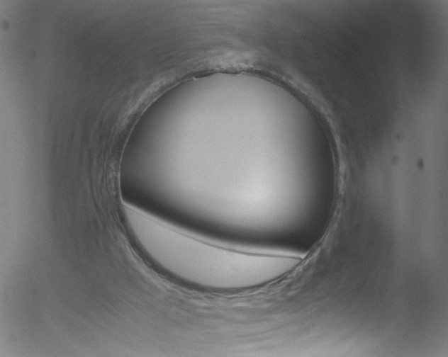 X0000052610009200507010950