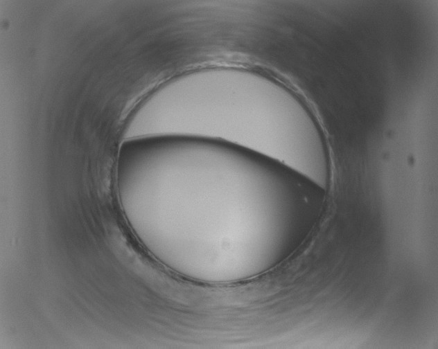 X0000052610010200507010950