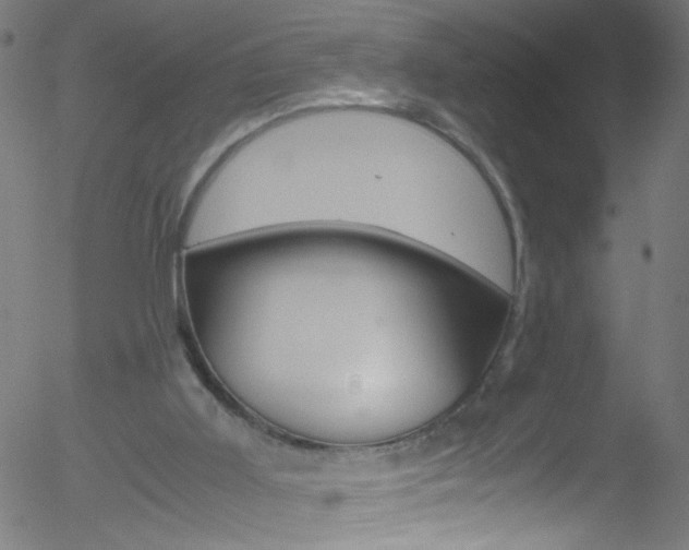 X0000052610011200507010950