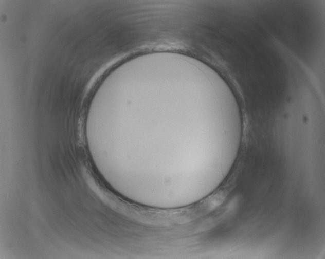 X0000052610012200507010950