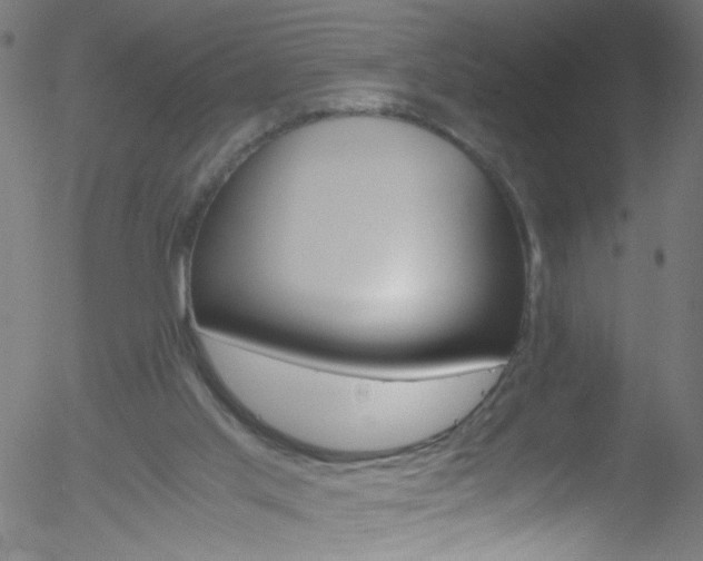 X0000052610013200507010950