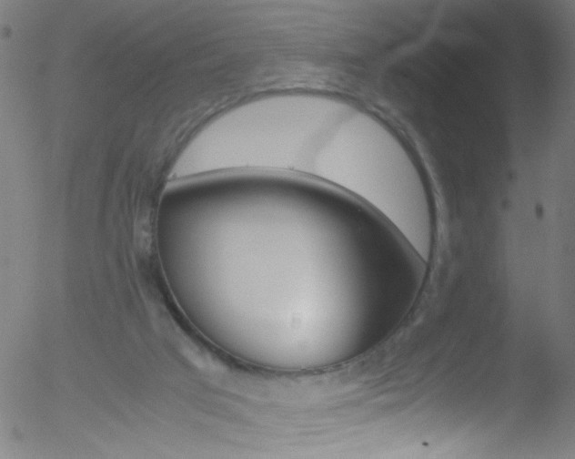 X0000052610017200507010950