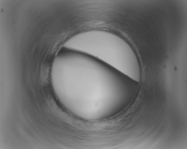 X0000052610018200507010950