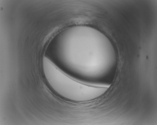 X0000052610019200507010950