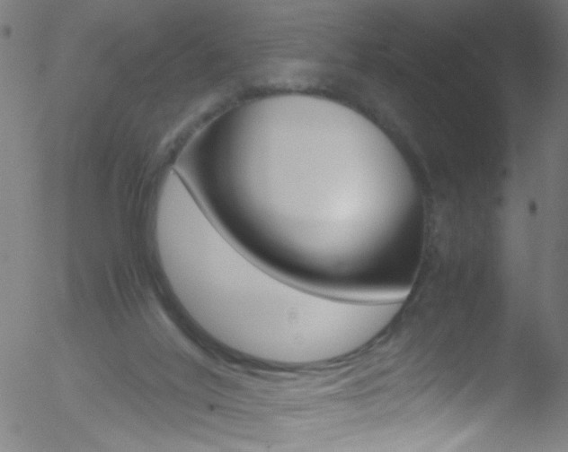 X0000052610020200507010950