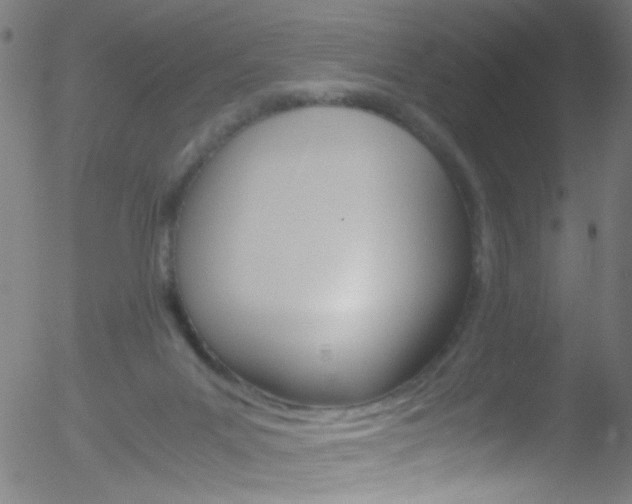 X0000052610023200507010950