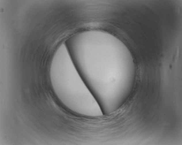 X0000052610024200507010950