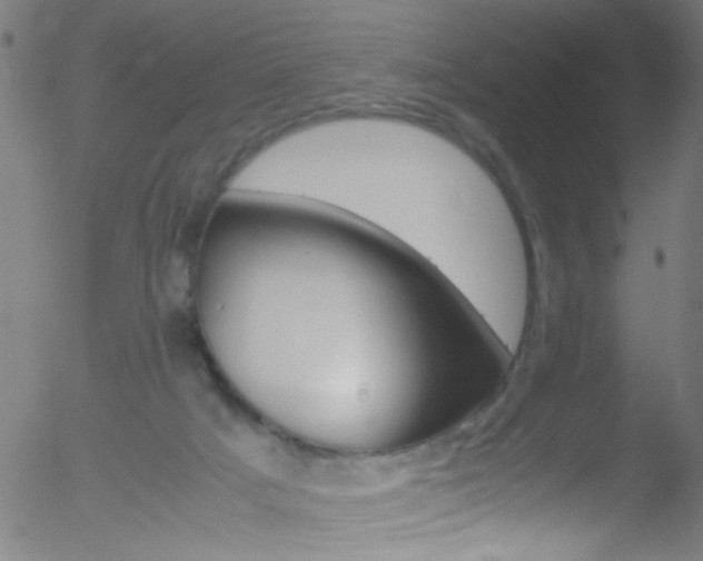 X0000052610025200507010950