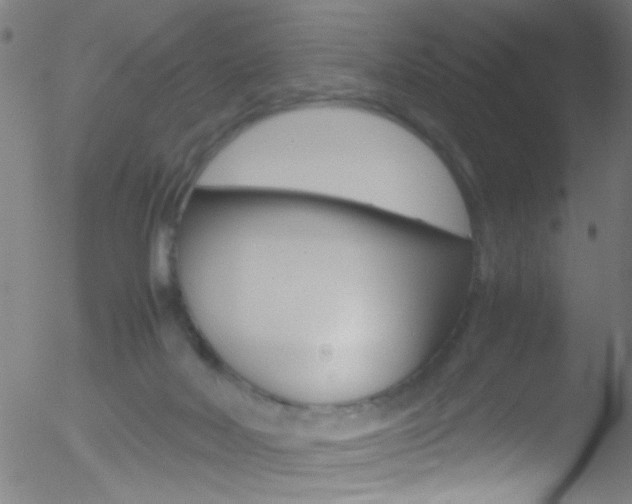 X0000052610026200507010950