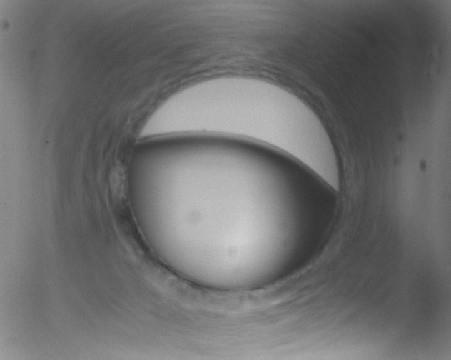 X0000052610029200507010950