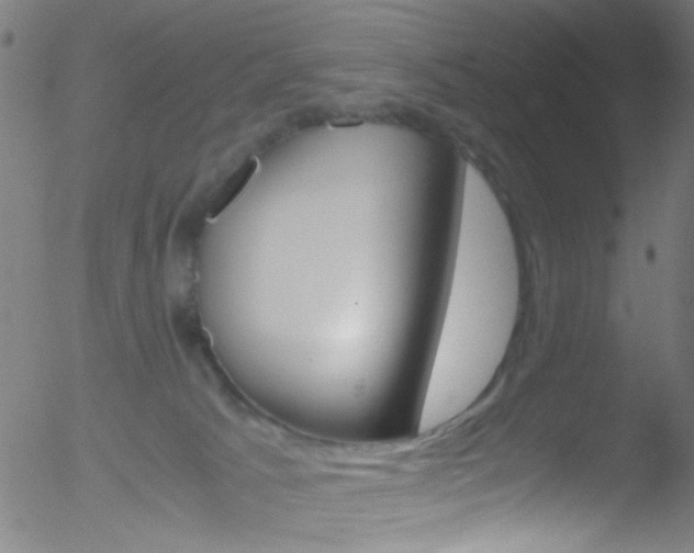 X0000052610033200507010950