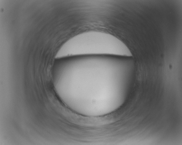 X0000052610034200507010950