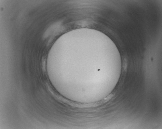 X0000052610036200507010950