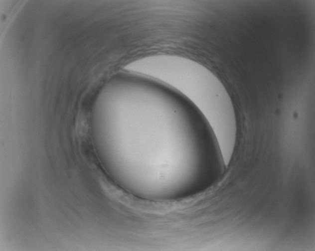 X0000052610037200507010950