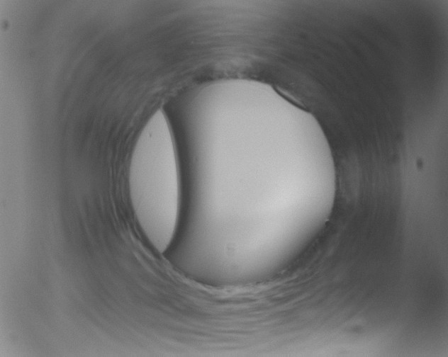 X0000052610038200507010950