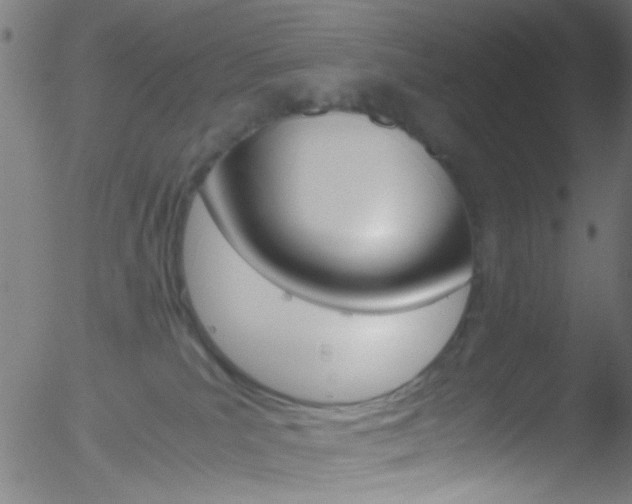 X0000052610039200507010950