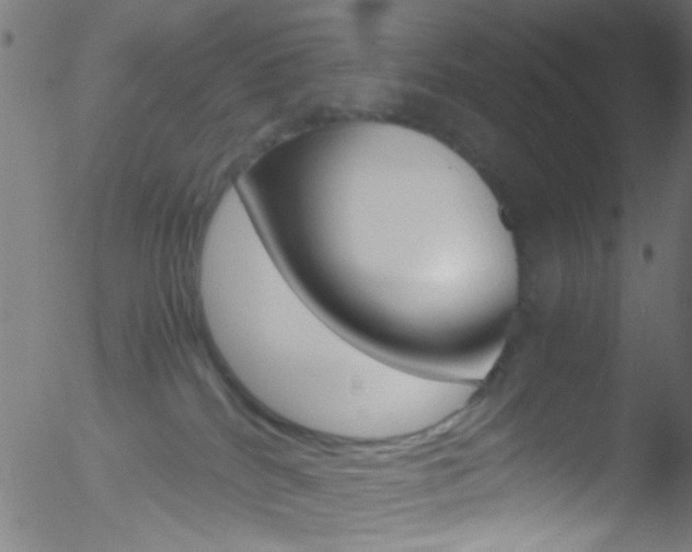 X0000052610040200507010950