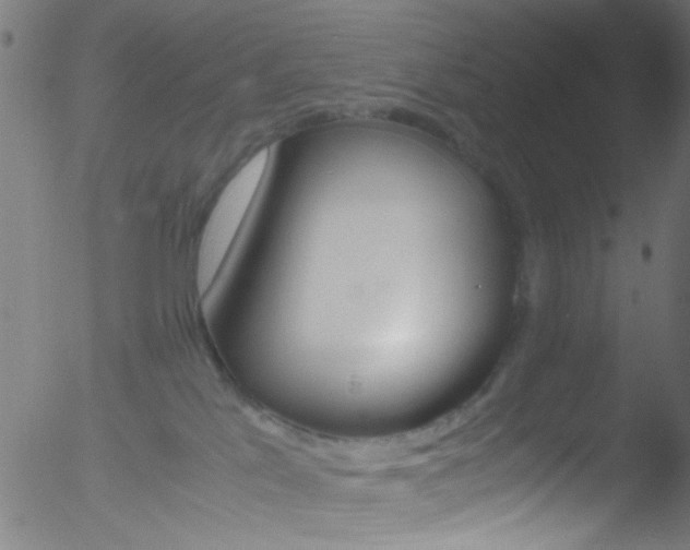 X0000052610041200507010950