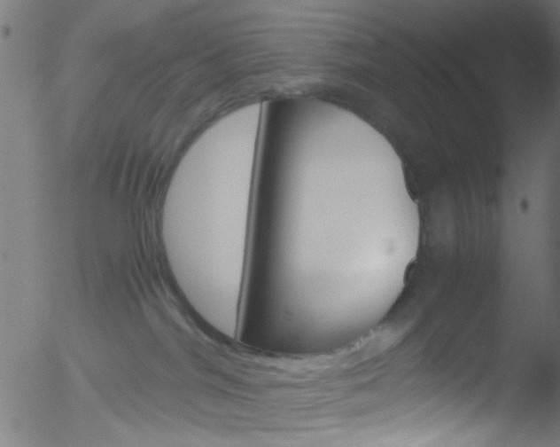 X0000052610044200507010950