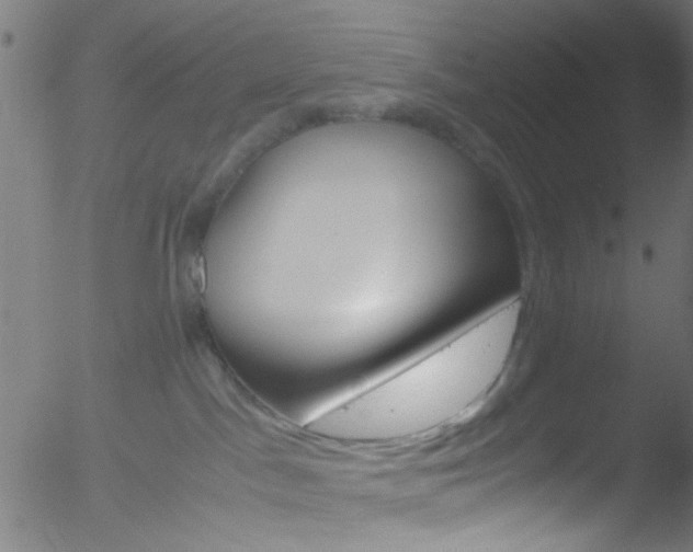 X0000052610045200507010950