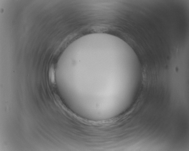 X0000052610046200507010950